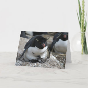 Rockhopper Pinguin mit Küken Karte