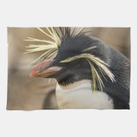 Rockhopper Pinguin-Tuch