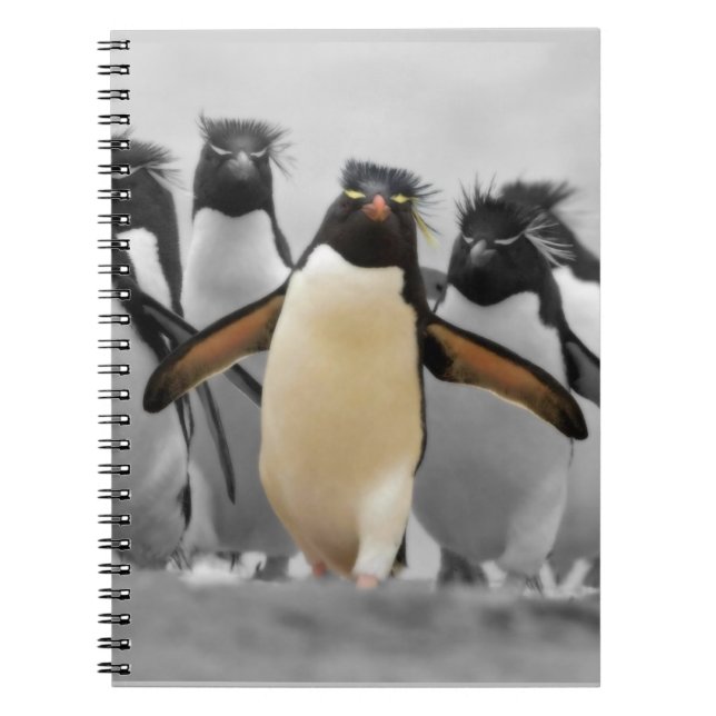 Rockhopper Pinguine Notizblock (Vorderseite)