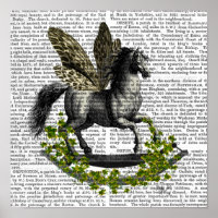 Rocking Horse Fly