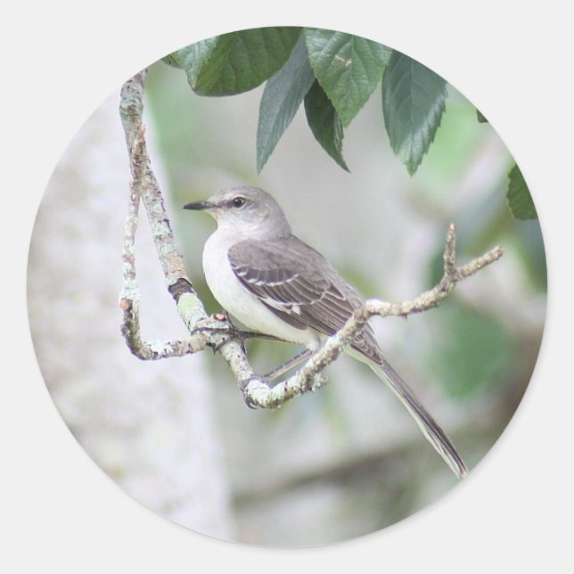 Rockingbird Round Stickers (Vorderseite)