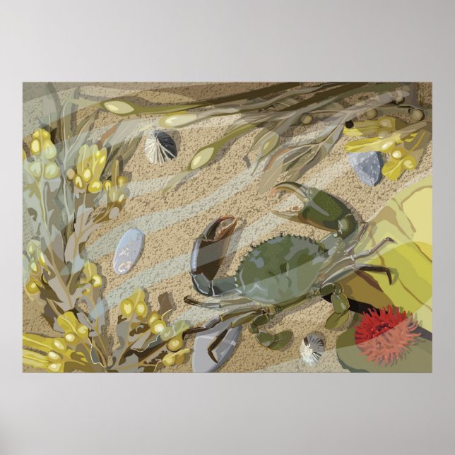 Rockpool Poster (Vorne)