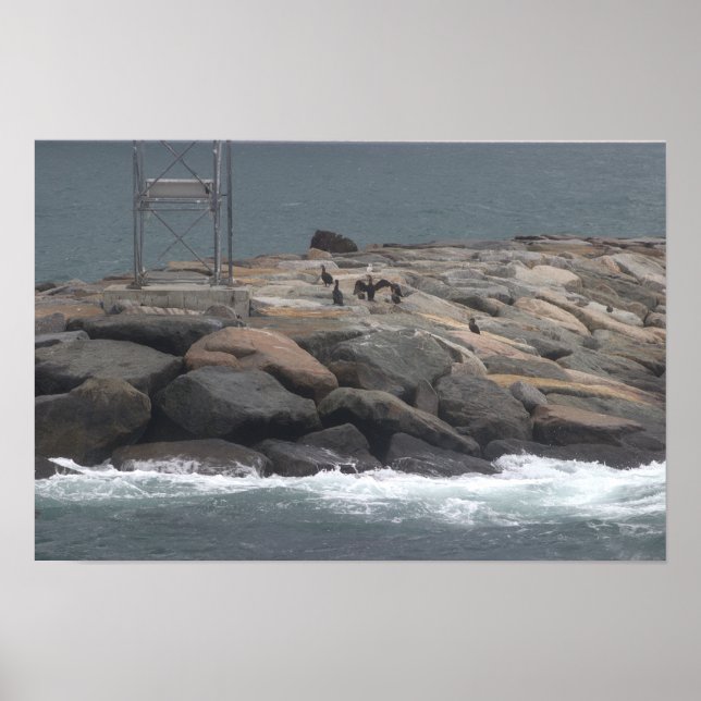 Rocks with Birds Ocean Waterscape Poster (Vorne)