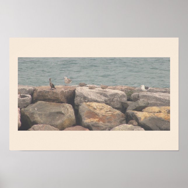 Rocks with Birds Ocean Waterscape Poster (Vorne)