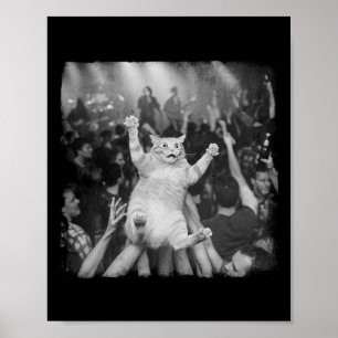 Rockshow-Katzen-Meme Lustiger Humor Tabby-Katze Me Poster