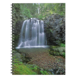 Rockwell Falls im Zwei-Medizin-Tal Notizblock