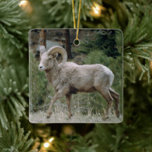 Rocky Mountain Big Horn Sheep Ornement en céramiqu
