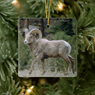 Rocky Mountain Big Horn Sheep Ornement en céramiqu