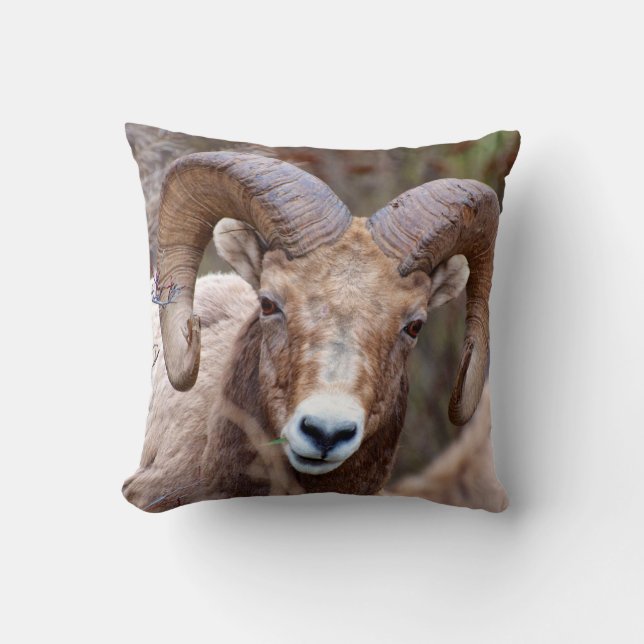 Rocky Mountain Bighorn Sheep Kissen (Vorderseite)