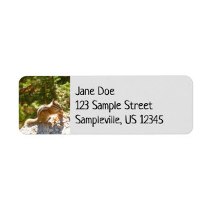 Rocky Mountain Chipmunk