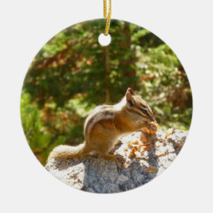 Rocky Mountain Chipmunk Keramik Ornament