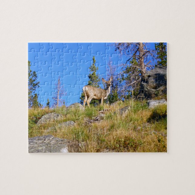 Rocky Mountain Deer (Horizontal)