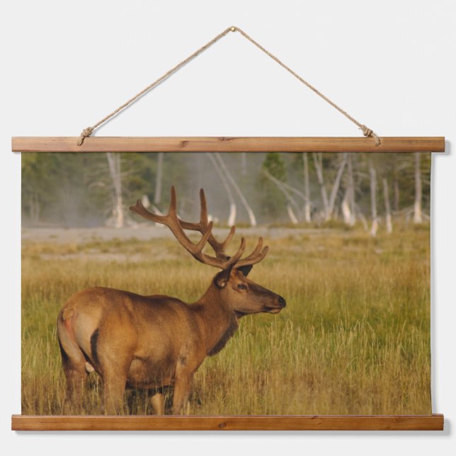 Rocky Mountain Elk | Yellowstone-Nationalpark Wandteppich Mit Holzrahmen (Vorne)