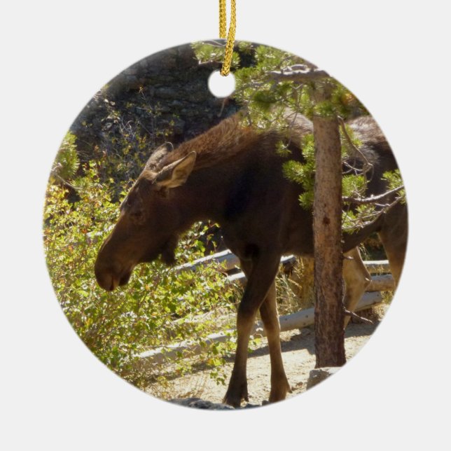 Rocky Mountain Elose Naturfotografie Keramik Ornament (Vorne)