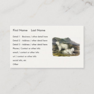 Rocky Mountain Goat (Capra Americana by Audubon Visitenkarte