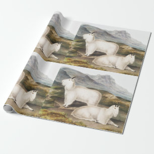 Rocky Mountain Goat (Capra Americana) Illustration Geschenkpapier