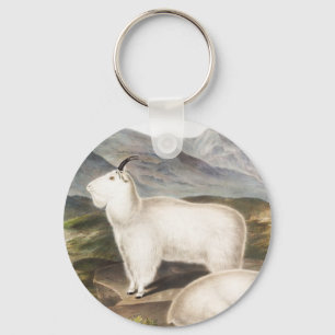 Rocky Mountain Goat (Capra Americana) Illustration Schlüsselanhänger