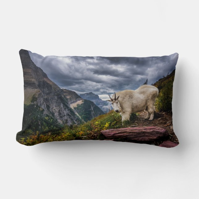 Rocky Mountain Goat Lendenkissen (Vorderseite)