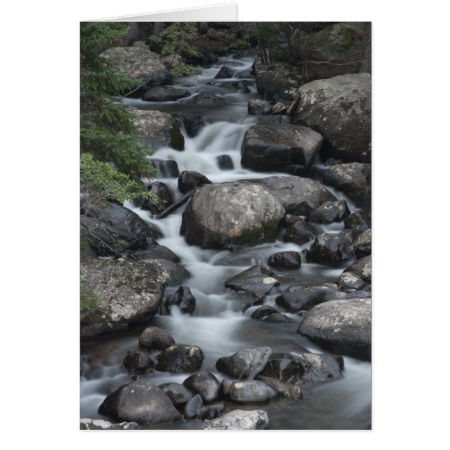Rocky Mountain National Park Stream Card (Vorne)