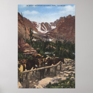 Rocky Mountain Nationalpark, Co Poster