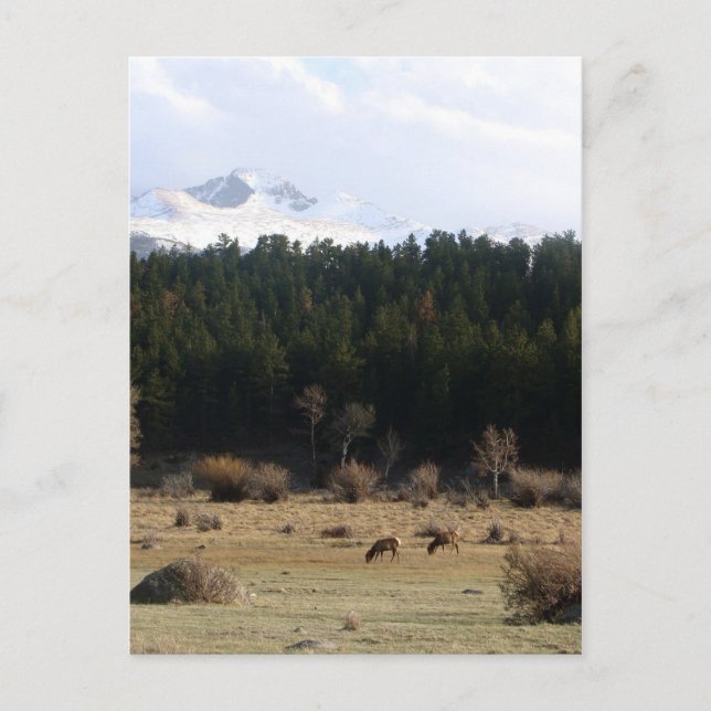 Rocky Mountain Nationalpark Postkarte (Vorderseite)