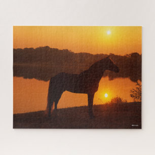 Rocky Mountain Pferd Stehend im Sonnenuntergang