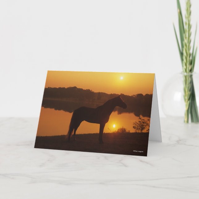 Rocky Mountain Pferd Stehend im Sonnenuntergang Karte (Vorderseite)