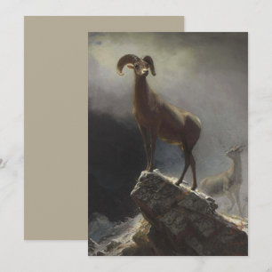 Rocky Mountain Sheep von Albert Bierstadt Feiertagskarte