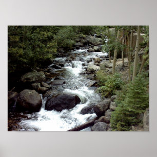 Rocky Mountain Stream Posters Poster