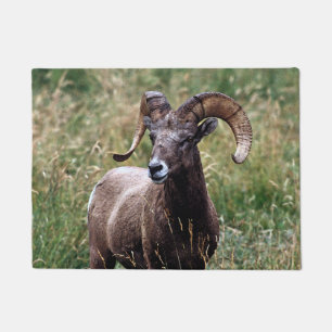 Rocky Mountains-Bighorn-Schafe Fußmatte