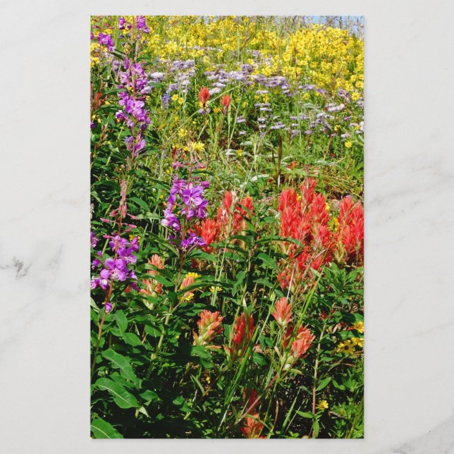 Rocky Mountains-Wildblumen (Vorderseite)