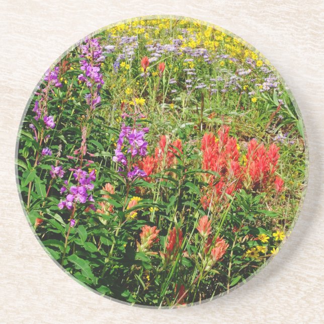 Rocky Mountains-Wildblumen Getränkeuntersetzer (Vorne)