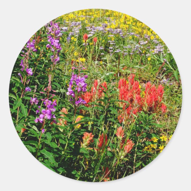 Rocky Mountains-Wildblumen Runder Aufkleber (Vorderseite)