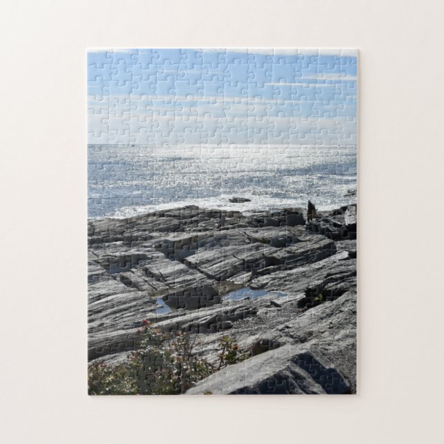 Rocky New England Coastline Maine Beach Foto (Vertikal)