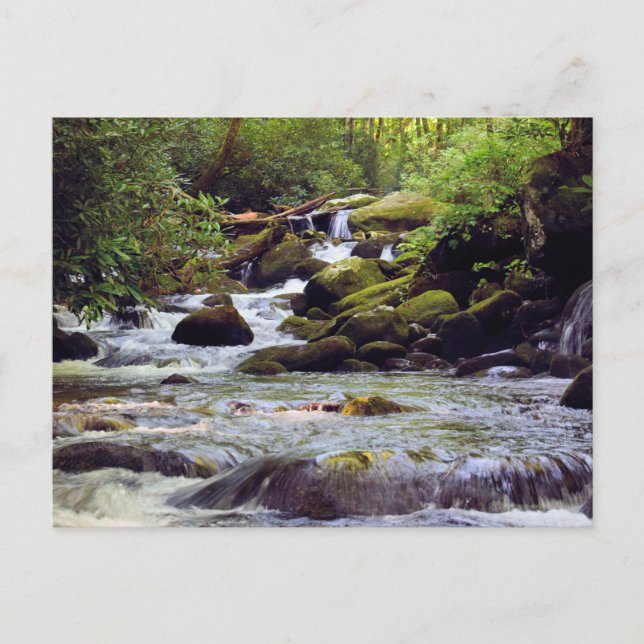 Rocky Rushing Stream - Große, rauchige Berge Postkarte (Vorderseite)