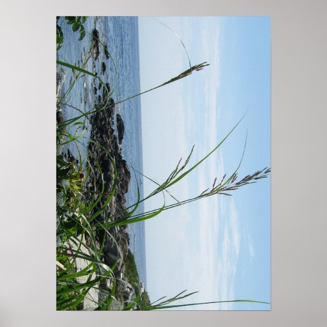 Rocky Shore Poster (Vorne)