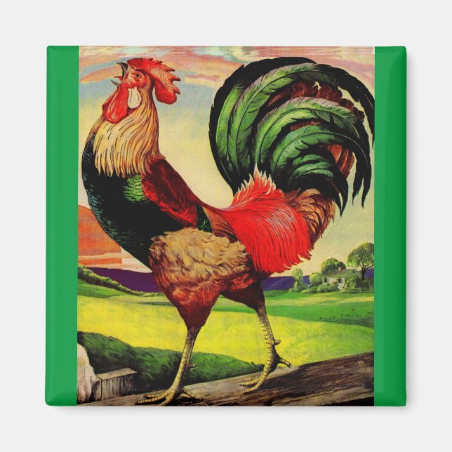 Rocky the Handsome Rooster Magnet (Vorne)