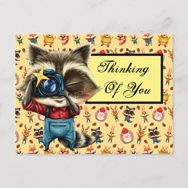 Rocky the Raccoon Postcard Postkarte (Vorderseite)