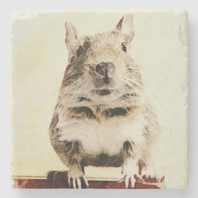 ⊿Rodent world⊿ Steinuntersetzer (Vorderseite)