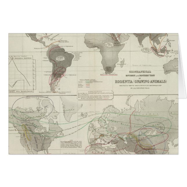 Rodentia, Ruminantia (Devant horizontal)