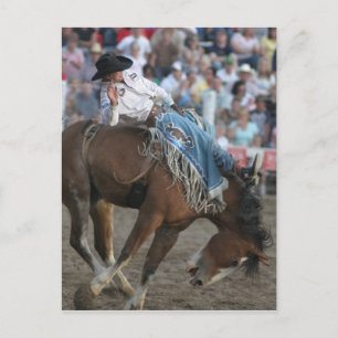 Rodeo Bucking Bronco Postkarte