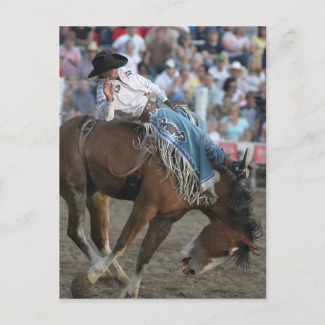 Rodeo Bucking Bronco Postkarte (Vorderseite)