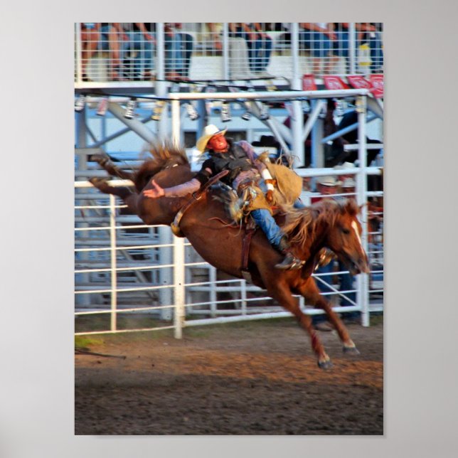 Rodeo Bucking Poster (Vorne)