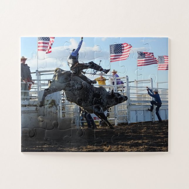 Rodeo Bull Rider (Horizontal)