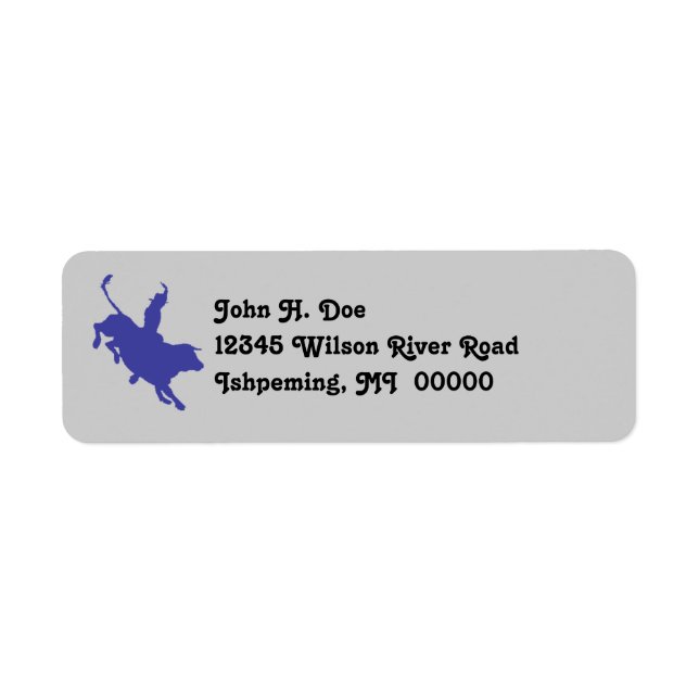 Rodeo Bull Rider étiquettes de adresse ~EZ2 Info d (Devant)