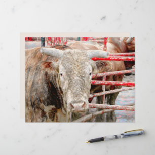 Rodeo Bull Rustikaler Western