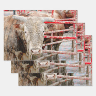 Rodeo Bull Rustikaler Western Geschenkpapier Set