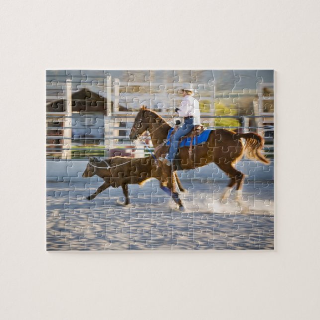 Rodeo Cowboy-Kalb-Seil (Horizontal)