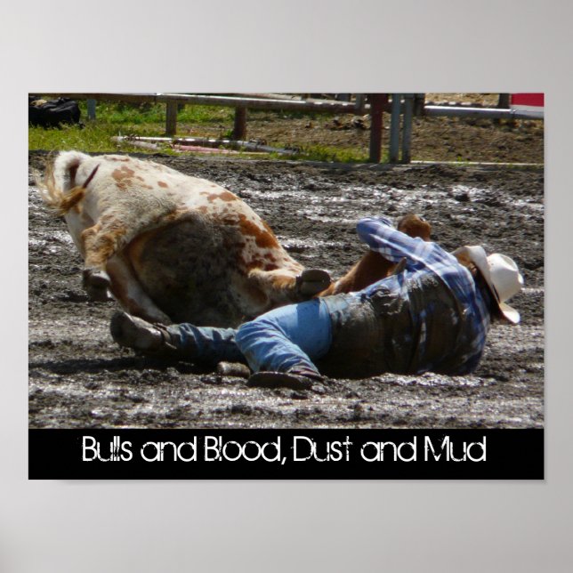 Rodeo Cowboy und Bull Mud Wrestling Poster (Vorne)