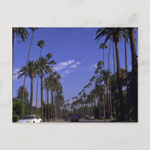 Rodeo Drive, Beverly Hills, Kalifornien Postkarte